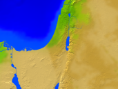 Israel Vegetation 640x480